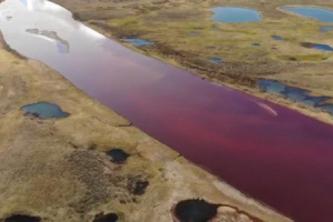 Katasztrófa norilsk 2020-ban: spill petroleum termékek